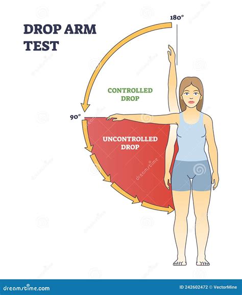 drop test shoulder injury|drop arm test positive means.